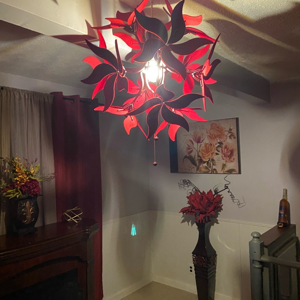 Meet your Posher, Carlis